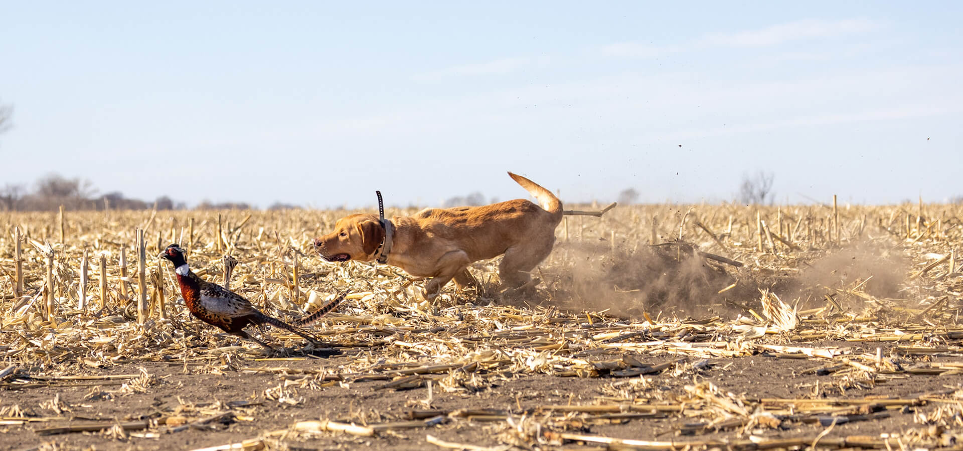 Hunting Photos Hunting Photos
