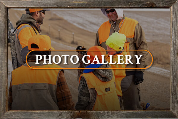 Photo Gallery Photo Gallery